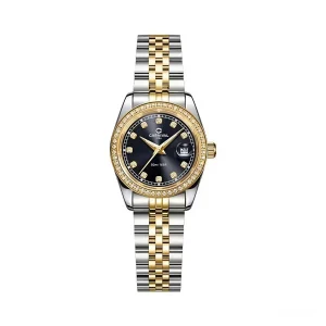 Carnival 8131l2 Cv D