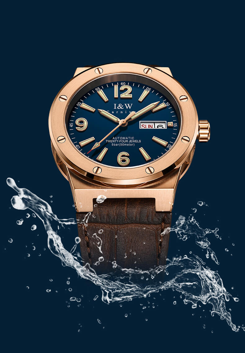 Dong Ho Nam Chinh Hang Iw Carnival Iw589g 3